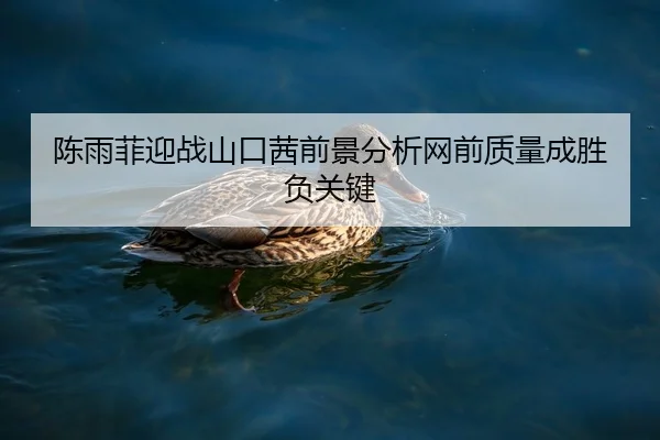 陈雨菲迎战山口茜前景分析网前质量成胜负关键